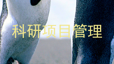 科研项目管理