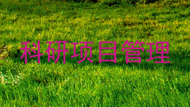 科研项目管理