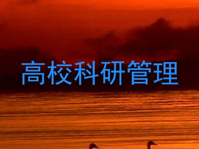 高校科研管理