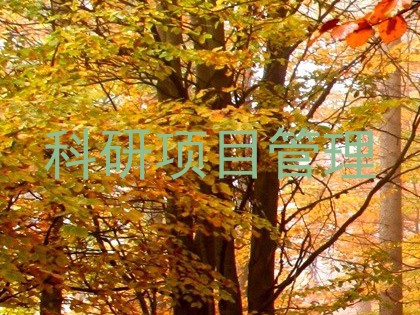 科研项目管理