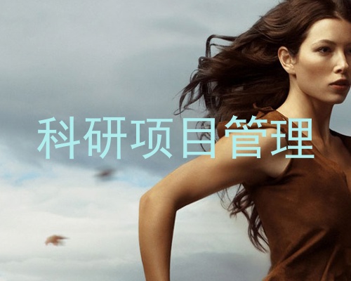科研项目管理
