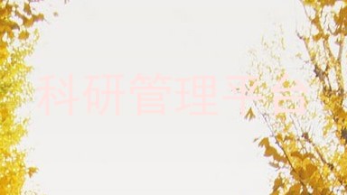 科研管理平台