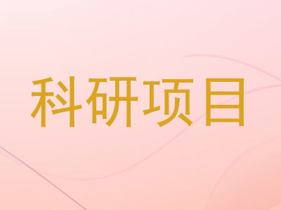 科研项目