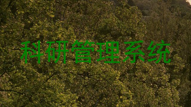科研管理系统