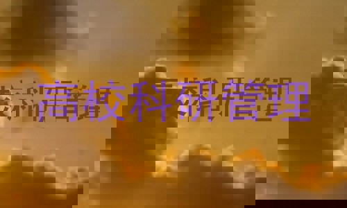 高校科研管理