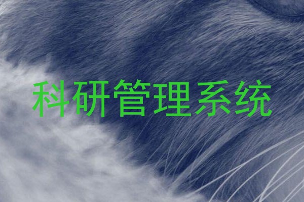 科研管理系统
