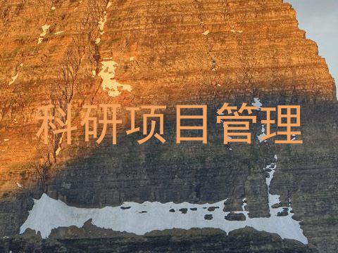 科研项目管理