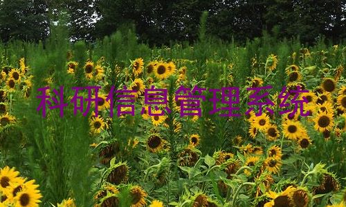 科研信息管理系统