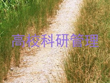高校科研管理
