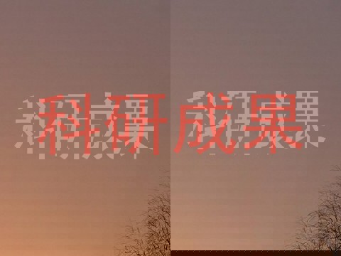 科研成果