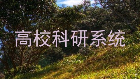 高校科研系统