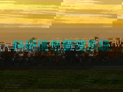 科研信息管理系统