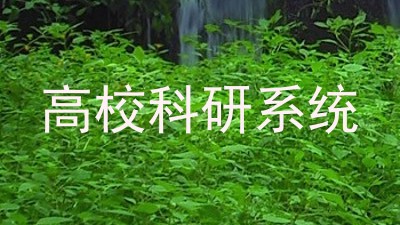 高校科研系统