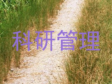 科研管理
