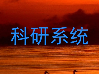 科研系统