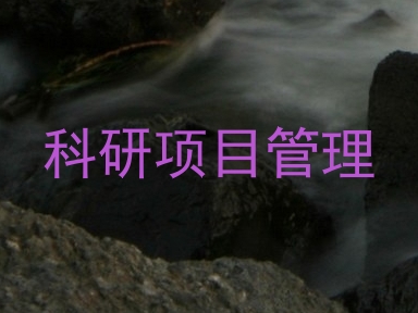科研项目管理
