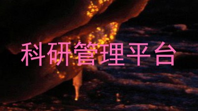 科研管理平台