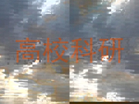 高校科研