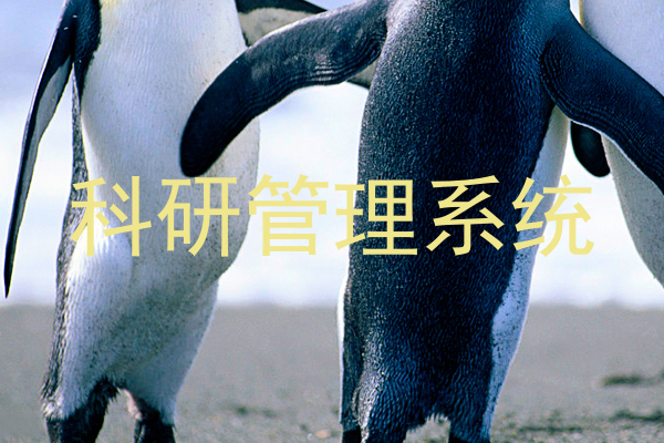 科研管理系统