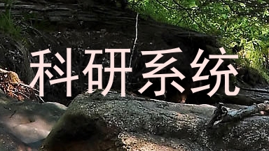 科研系统