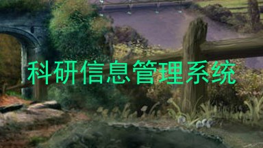 科研信息管理系统