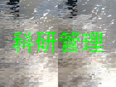 科研管理