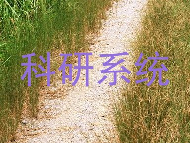 科研系统