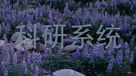 科研系统