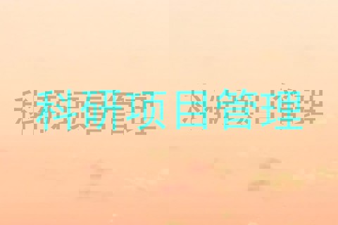 科研项目管理