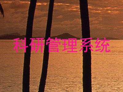 科研管理系统