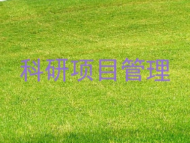 科研项目管理