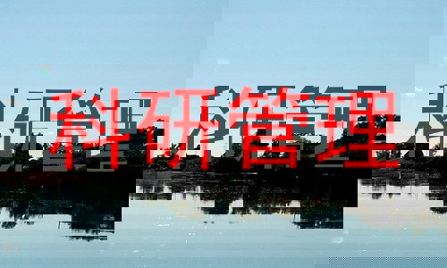 科研管理