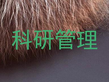 科研管理