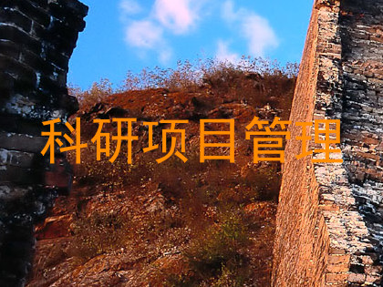 科研项目管理