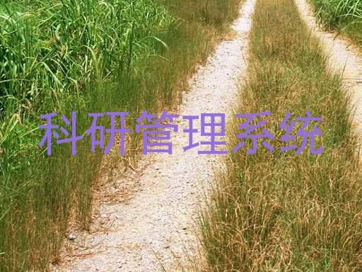 科研管理系统