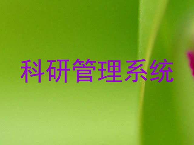 科研管理系统
