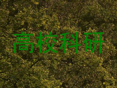 高校科研
