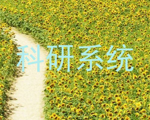 科研系统
