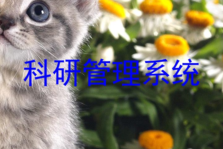 科研管理系统