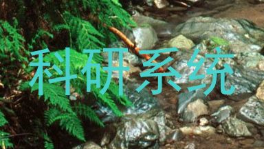 科研系统