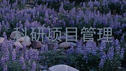 科研项目管理