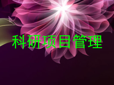 科研项目管理
