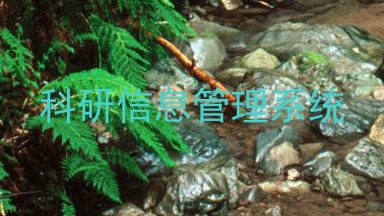 科研信息管理系统