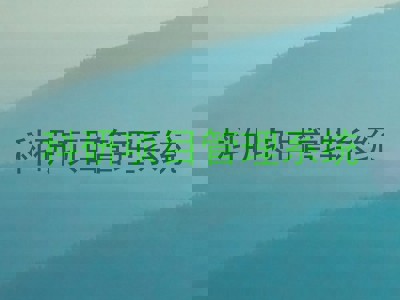 科研项目管理系统