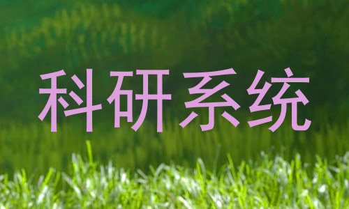 科研系统