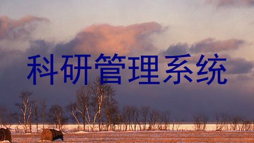 科研管理系统