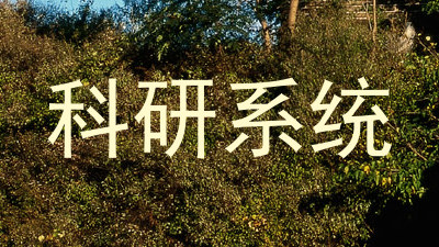 科研系统