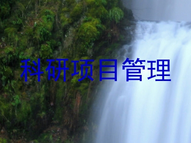 科研项目管理