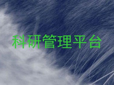 科研管理平台