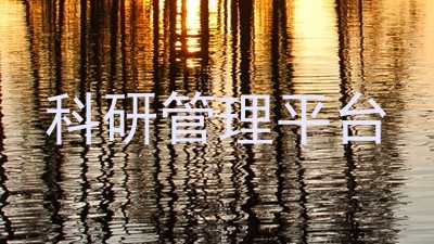 科研管理平台